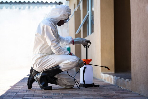 Five Tips To A Pest Free Home in Melbourne