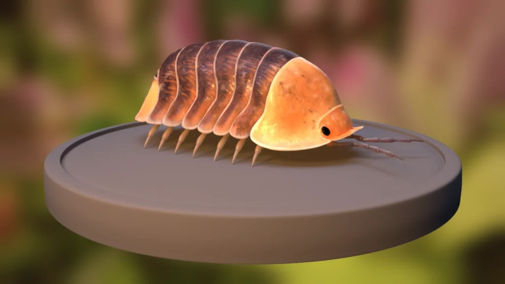 Investigating the Enchanting Universe of Rubber Ducky Isopods: The Cute Insect Revolution