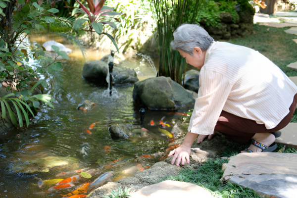 Image showcasing Koi Pond Care Tips for Beginners