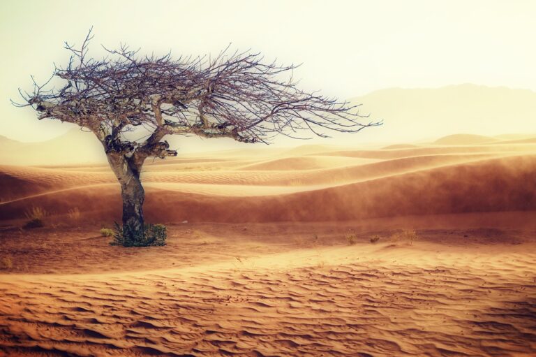 The Photo Changed The One Photo That Changed How I See the World